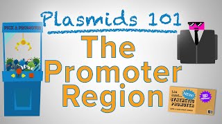 The Promoter Region  Plasmids 101 [upl. by Lertnek576]