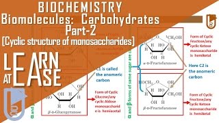 Biomolecules Carbohydrates Part2 Cyclic structure of monosaccharides [upl. by Waxman]