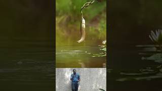 A beautiful video of a fish catching a snake🥰 sneke fishing photography photoshoot natural [upl. by Socrates]