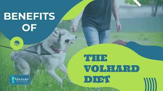 Benefits of Volhard Dog Nutrition [upl. by Enaasiali]