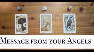 ✨😇Message from Your Angels 👼 Pick a Card  Tarot Reading [upl. by Holton]