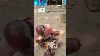 আজকে বরান মুরগী নিলাম 2 কেজি ওজনের 200 টাকা করে yutubeshorts chicken murgi myblog [upl. by Lenneuq]