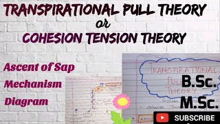 What is Transpirational pull theory Cohesion tension theory BSc MSc Plant Physiology Easy Explain [upl. by Ariet957]