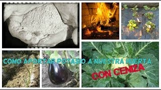 Como aportar potasio a nuestra huerta con ceniza [upl. by Reyam158]