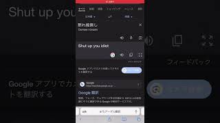 グーグル翻訳の戦い①google翻訳 日本語 ＃地理英語 [upl. by Earezed]