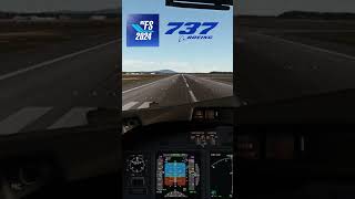 Flight Simulator 2024 Boeing 737 Landing Cockpit View fs2024 msfs [upl. by Okiron]