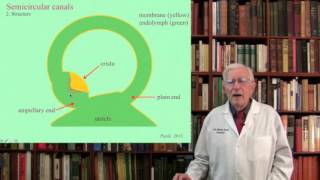 Lecture 3 The Vestibular System Structure Function and Dysfunction [upl. by Iahk]