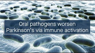 Oral pathogens worsen Parkinson’s disease by activating an immune response [upl. by Caravette]