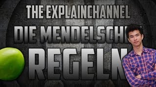 Die Mendelschen Regeln einfach erklärt [upl. by Orlosky]