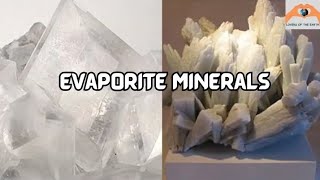 Lecture 8 Evaporite Minerals Gypsum Anhydrite Halite Sylvite geology minerals [upl. by Sherurd]