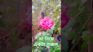 বাংলা গজলgojol jজ [upl. by Lansing]