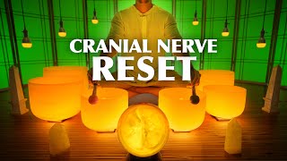 Cranial Nerve Sound Bath  Release amp Reset Your Cranial Nerves  Crystal Singing Bowl Music [upl. by Woody]