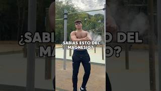 ¿SABIAS ESTO DEL MAGNESIO🤔agarre calistenia streetworkout fitness [upl. by Ecienal]