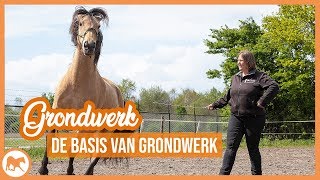 Grondwerk  De basis oefeningen [upl. by Axel900]