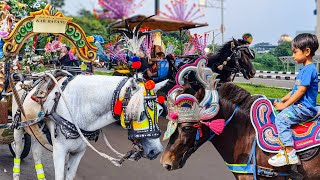 KUDA  KUDA DELMAN  HORSE SONG  WHEELS ON THE BUS NAIK DELMAN ISTIMEWA DAN SELAMAT ULANG TAHUN [upl. by Elyssa]