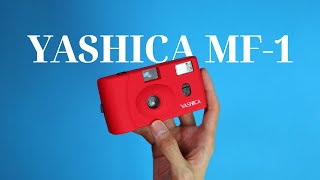 Yashica mf1 How to Use  Sample Photos [upl. by Mukund]