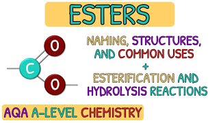 Carboxylic Acids and Derivatives  Esters｜AQA A Level Chemistry Revision [upl. by Hgielhsa420]