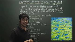 MIC BotanyTMBU Botany MIC Thallus organisation of Algae [upl. by Werdn]