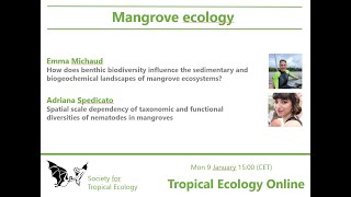 Seminar on mangrove ecology  Tropical Ecology Online  09 January 2023 [upl. by Dieter]