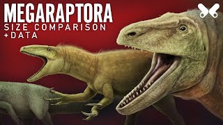 MEGARAPTORA Dinosaurs size comparison and data [upl. by Eniron]