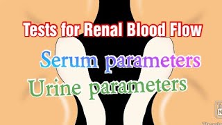 Tests for Renal Blood Flow Renal Function Tests Part 3 Serum Parameters and Urine Parameters RFT [upl. by Airamzul]