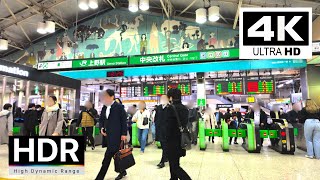 TOKYO  Ueno Station Walk in 2024【4K HDR】 [upl. by Ddat]