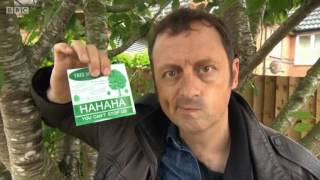 Rogue Traders  Greenways Tree amp Garden Care 2017 [upl. by Erna]