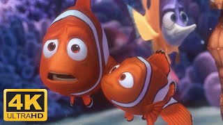 FINDING NEMO 3D Clip  Exit Buddy [upl. by Siuqaj]