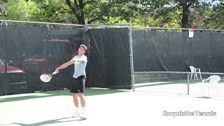 Milos Raonic Serves in Slow Motion [upl. by Anemolif]