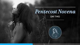 Pentecost Novena  Day Two [upl. by Elegna454]