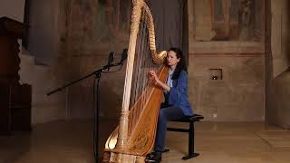 La source Alphonse Hasselmans harp [upl. by Tarr]