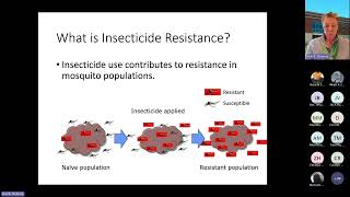 Special Topic WebinarIntroduction to Insecticide Resistance in Mosquitoes [upl. by Nylorac]