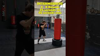 Free Standing Punch Bag Cardio Routine to Boost Sparring Endurance 💪💨 kickboxing mma [upl. by Nosittam]