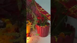 shortvideo devudni ekdhshi tulsi vivah 🌿🌿🌿🌿🌿radheradhe [upl. by Adnilra]