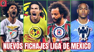 LIGA MX Nuevos FICHAJES y rumores Después del Apertura 2024  Cavani a America Marcelo Cruz Azul [upl. by Lotsirb]