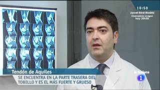 Como prevenir lesiones en tendones y ligamentos [upl. by Kavanaugh]