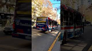 bus edificios street palermo car movimiento calle buenosairescity viajes travel cars ar [upl. by Rudman]