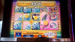 Wild Waves Slot Bonus  WMS [upl. by Herries]