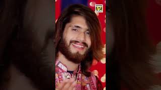 Mein Lajpalan De Lar Lagiyan  Super Hit Special Kalam 2024  Ali Hassan Sultani Official Track [upl. by Elyssa]