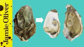 How To Open Oysters  1 Minute Tips  Bart’s Fish Tales [upl. by Latyrc920]