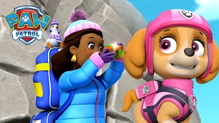 Skye rescues the Mayor on a mountain and more  PAW Patrol Episode  Cartoons for Kids Compilation [upl. by Casper]