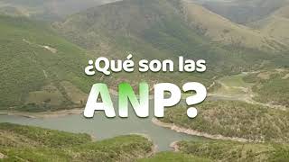 ¿Qué son las ANP o Áreas Naturales Protegidas  GrandezaDeMéxico [upl. by Oina799]