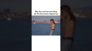 Harry and Liam Funny moment 😆 harrystyles liampayne onedirection funny short [upl. by Clippard781]