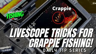 Pro Secrets Exposed Garmin Livescope Tricks for Crappie Fishing Ep 69 [upl. by Yarrum]