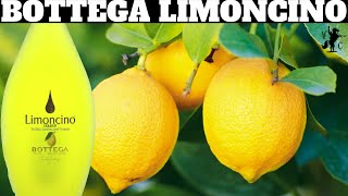 Bottega Limoncino Liqueur Review [upl. by Aenil]