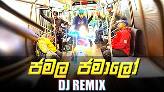 jamala jamaloo remix  jamal jamaloo dj remix  jamala jamaloo remix song [upl. by Fredra904]