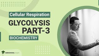 Glycolysis Part 3 [upl. by Adonis810]