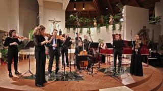 Zefiro Baroque Orchestra  J S Bach BWV 2482  Sinfonia [upl. by Ehtiaf347]