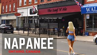 Exploring Napanee Ontario A Charming Small Town Adventure [upl. by Yretsym800]