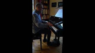 Bach  Siloti Siciliano BWV 1031 [upl. by Benita]